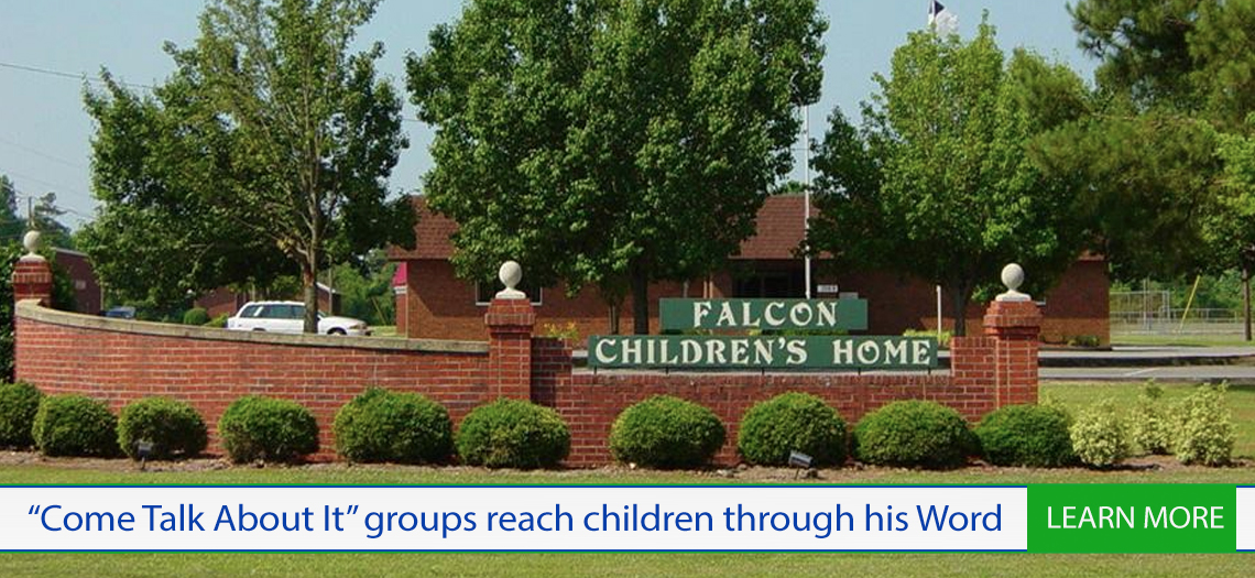 falconchildrenshome slide